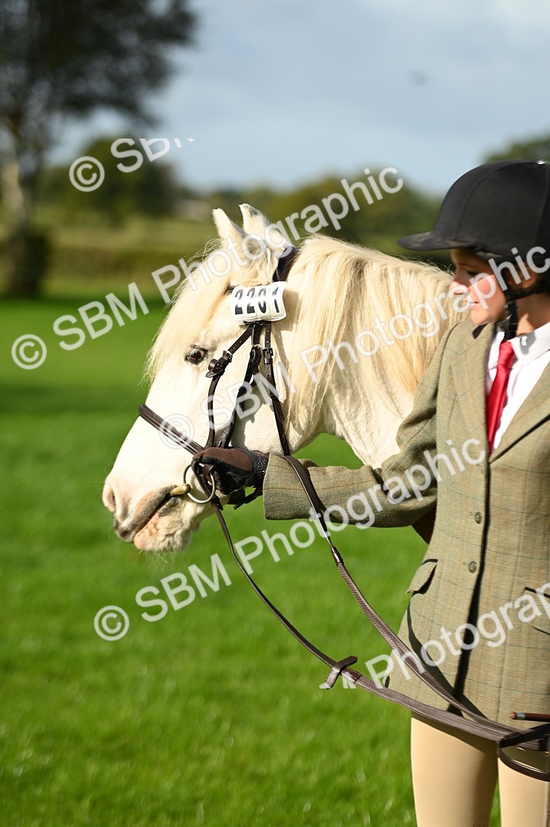 SBM_15877 - S1 - TSR in Hand Horse & Pony Showing