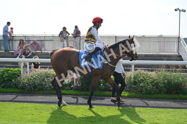 yr05092021r3-6 - Race 3 3.15pm The BioWaveGo Garrowby Stakes