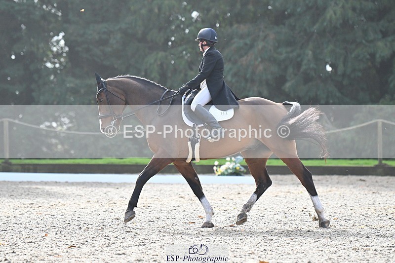 231019-110553-02038 - 105-BRIGHT.KNIGHT.III-Janet.Clarke-DR