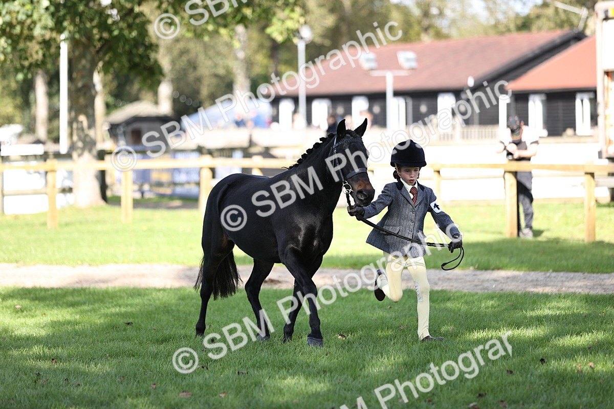 SBM_26235 - S5 - Novice & Newcomers In Hand