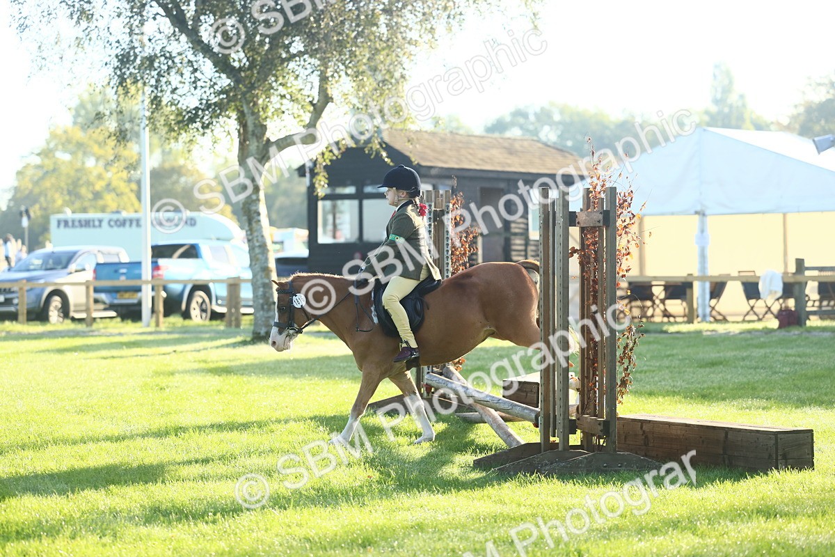 SBM_37217 - S29 - Novice & Newcomers Working Hunter Pony