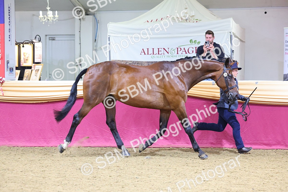 SBM_19596 - Class 901 - Supreme Final - IH Diamond