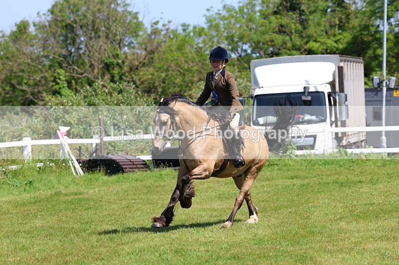 3E7A6781 - Working Hunter Pony Championship