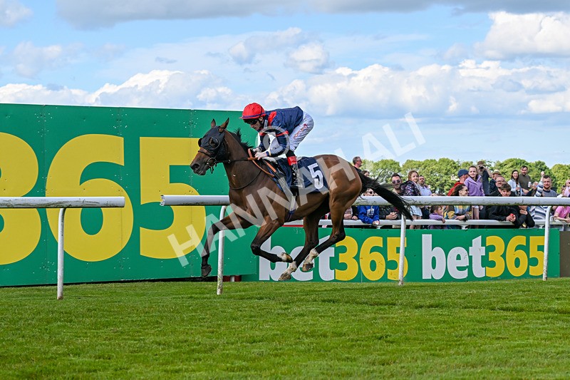 080624-Race 6-Walter Hartright-1727 - Race 6