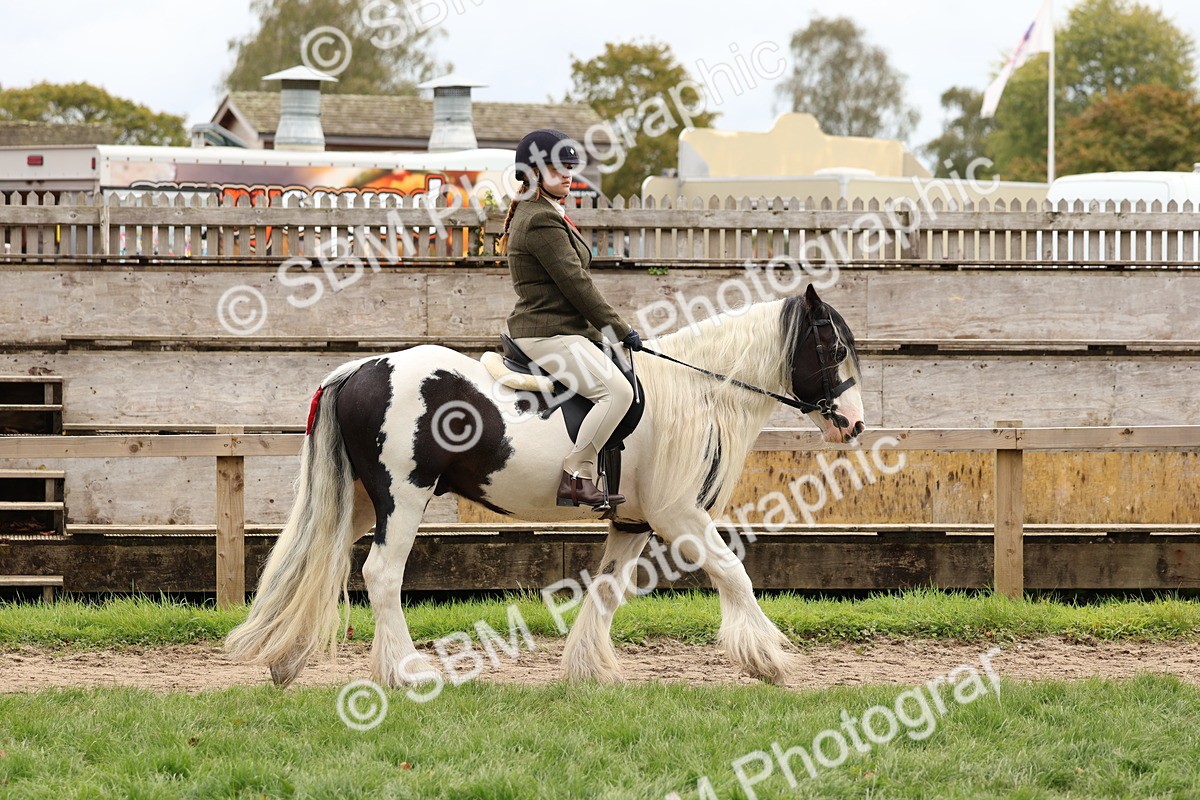 SBM_64361 - S58 - Coloured Pony Ridden