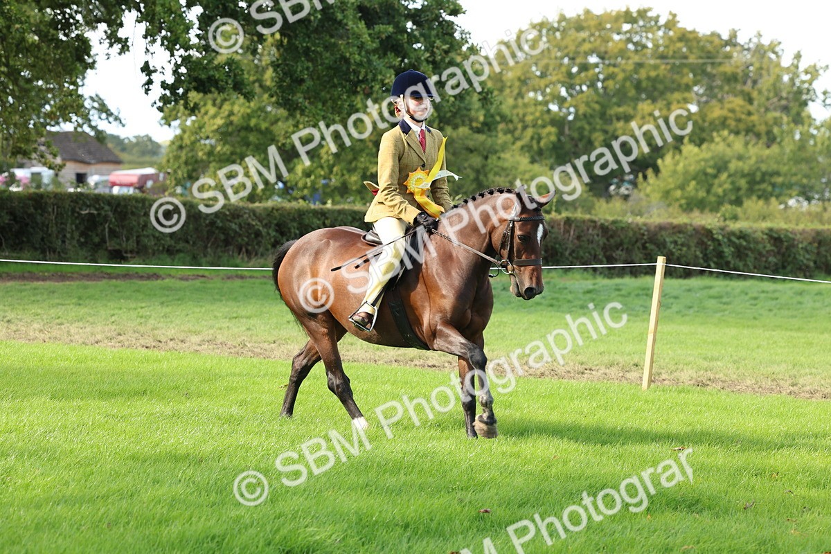 SBM_46350 - Working Hunter Pony Supreme Championship