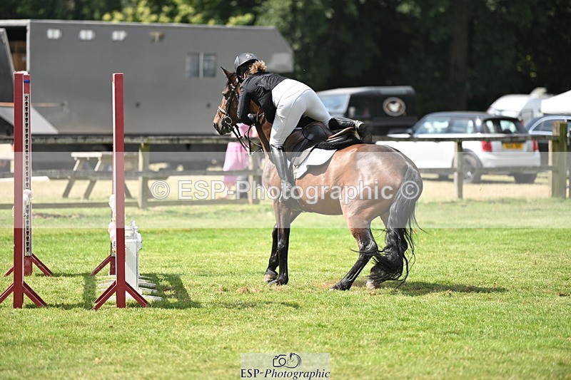 250704A-110151-07134 - Cls 25 Snr British Novice and 90cm