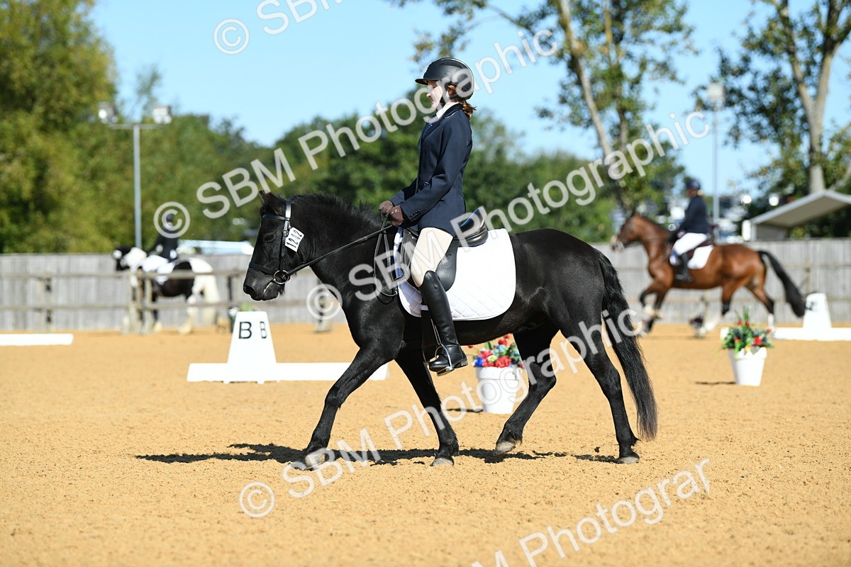 SBM_18187 - D4 - Small Tour Championship - Intro B