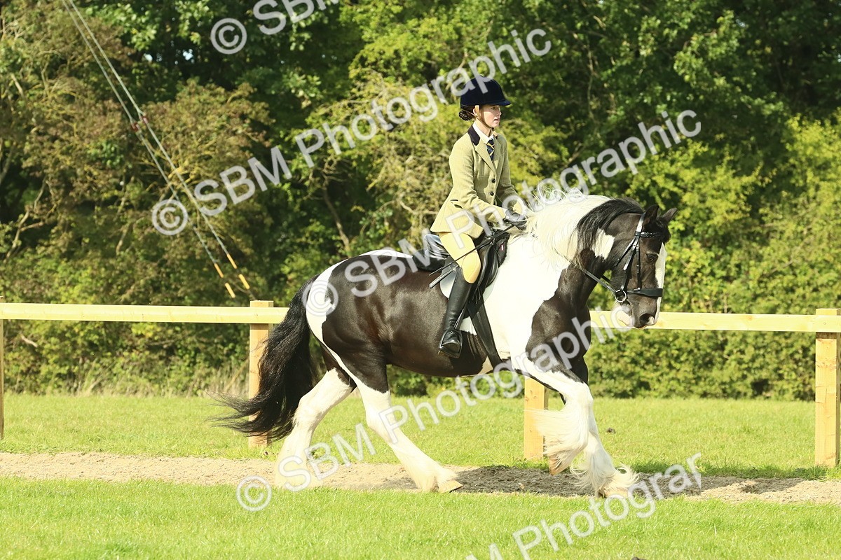 SBM_67455 - S56 - Coloured Pony Ridden