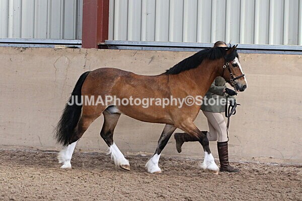 SIAL9454 - Indoor Classes