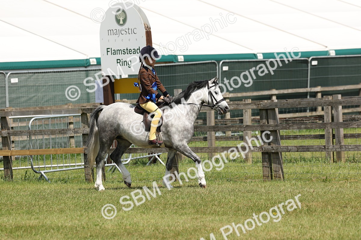SBM_05388 - Class 24-25 - Mountain & Moorland In Hand Lead Rein and First Ridden