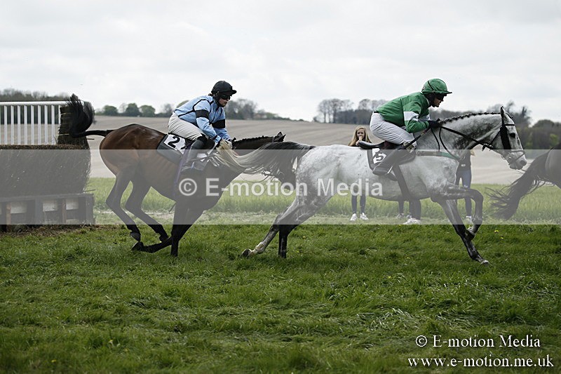PtP 170417 82 - Old Berks Point-to-Point Lockinge 17/04/17