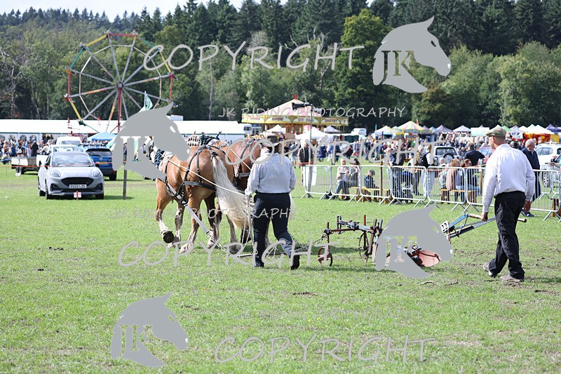 APP_3594 - Class 7 Turnout for a single or pair