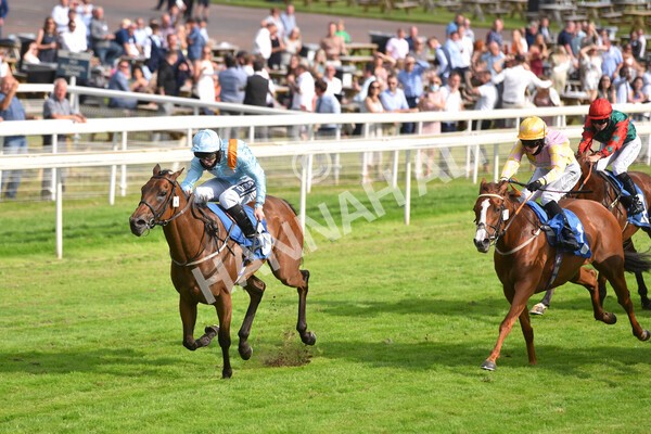 yr09072021r7-17 - Race 7 5.30pm William Hill Extra Place Races Stakes