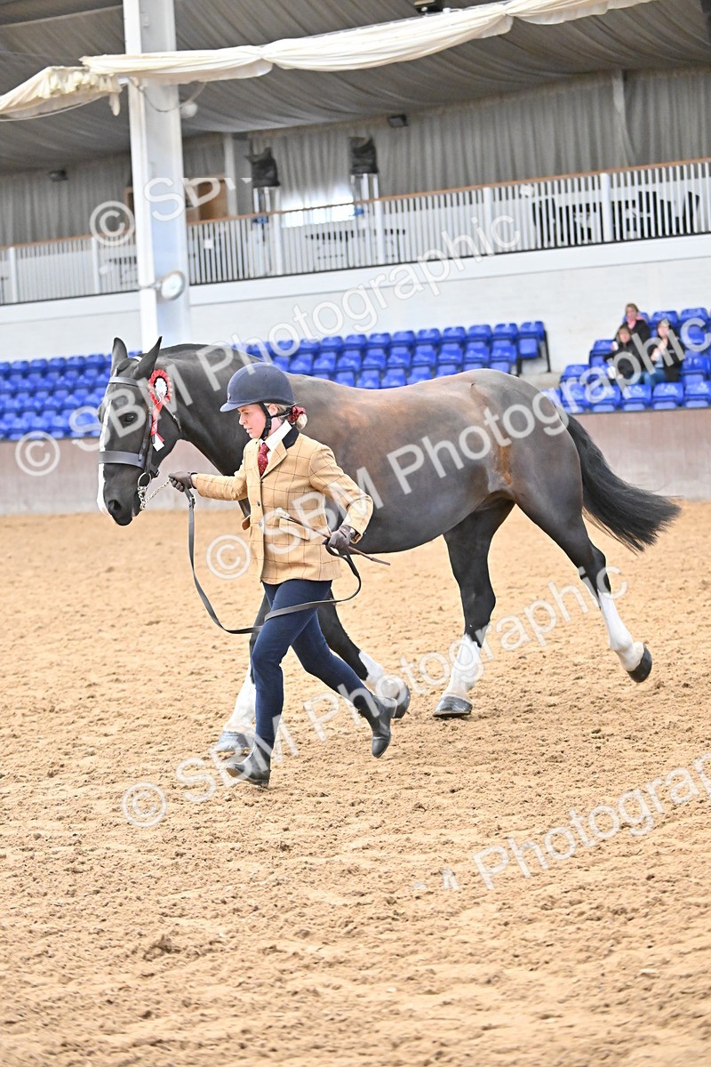 SBM_000758 - Class 16 - In Hand Showing Supreme Championships