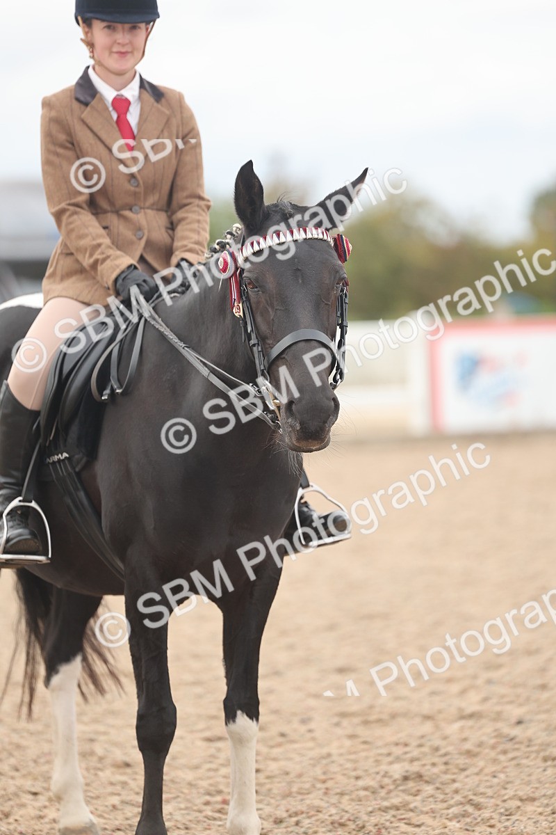 SBM_18179 - Class 315 - Best Horse-Rider Combination