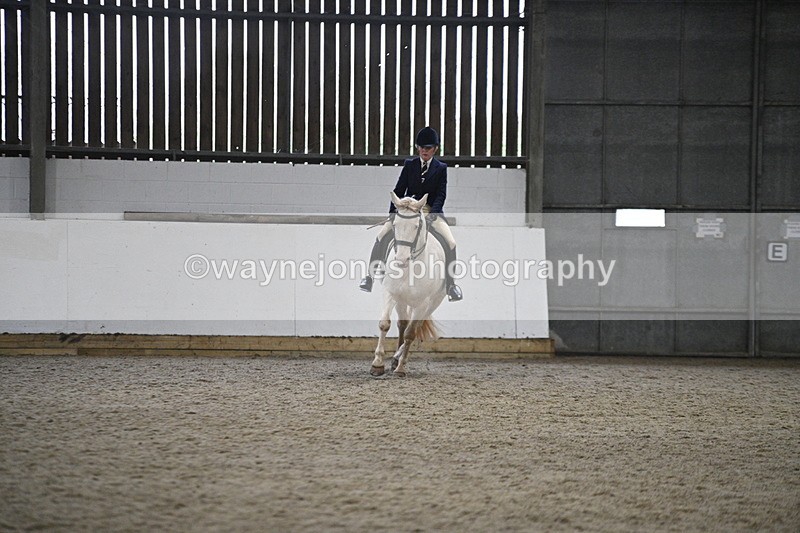 WJ7_3630 - Class 16 Ridden Coloured/ Odd Coloured