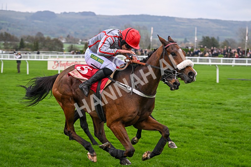 151124-Race 4-Sweet David-8241 - Race 4