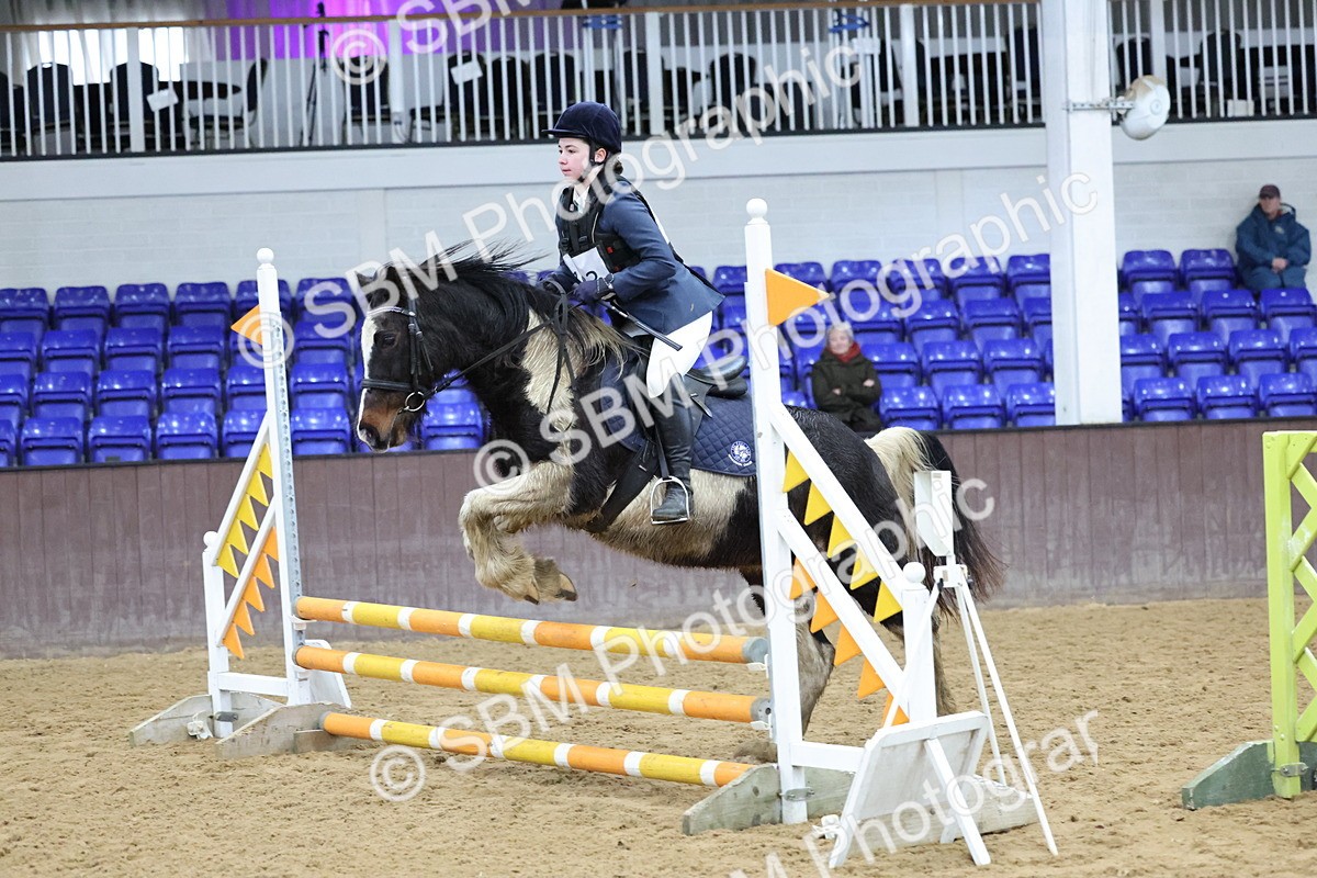 SBM_001184 - Class 3 - Christmas Tree Stakes - 60cm