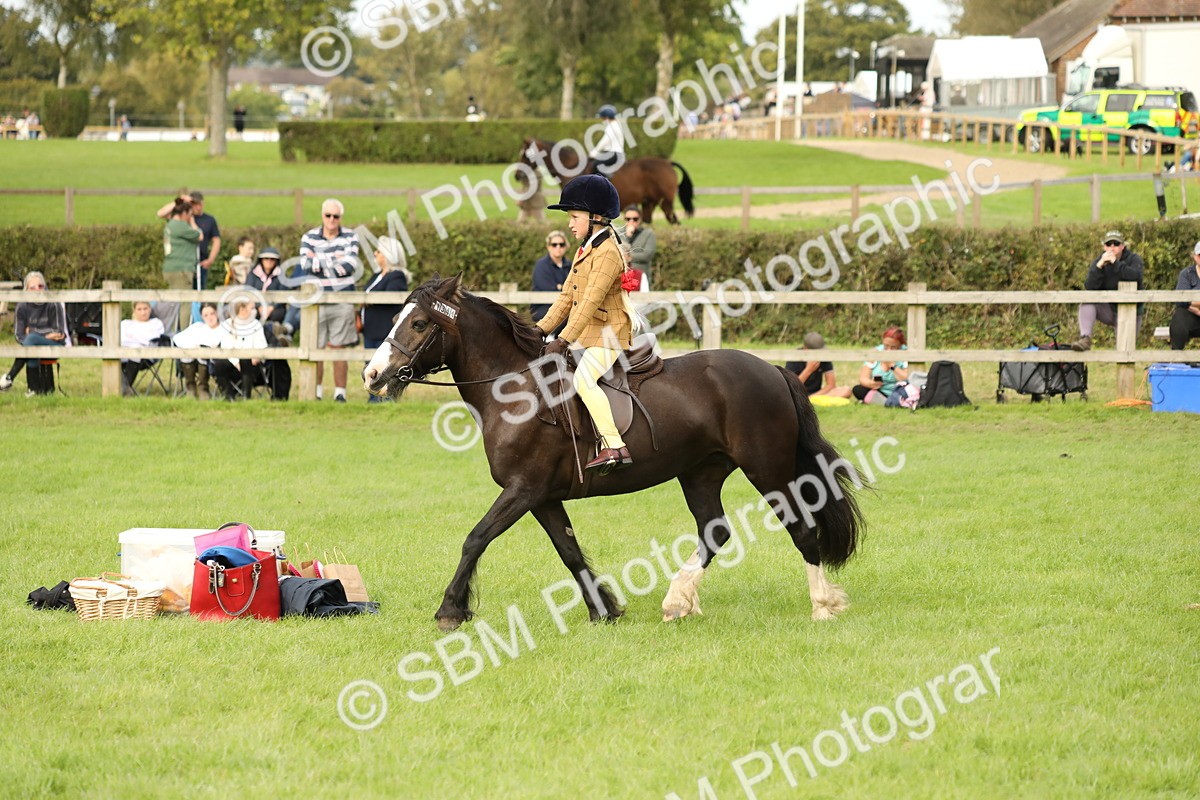 SBM_71555 - S41 - Ridden Equitation (Best Rider)