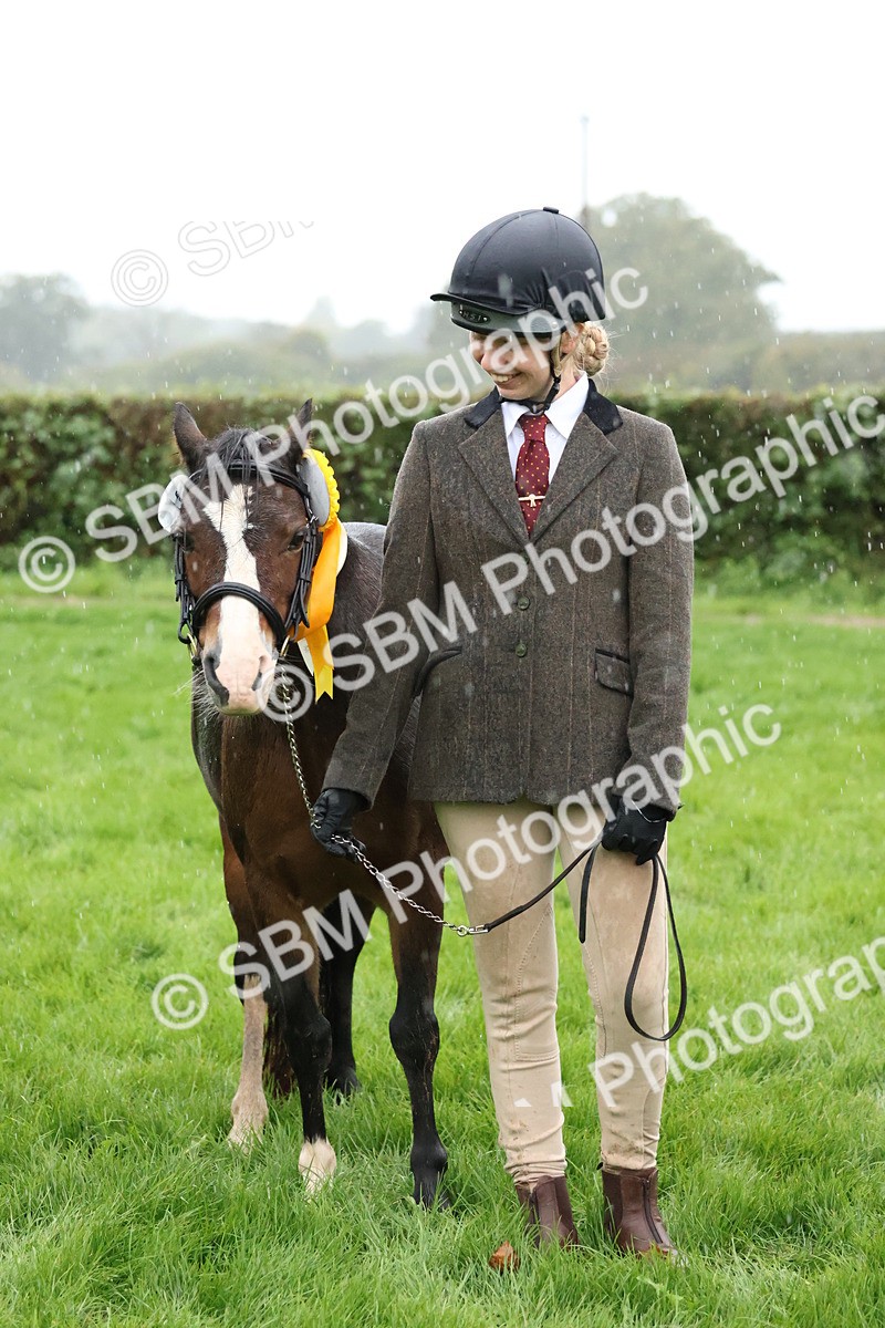 SBM_35380 - S10 - Best In Hand Horse & Pony