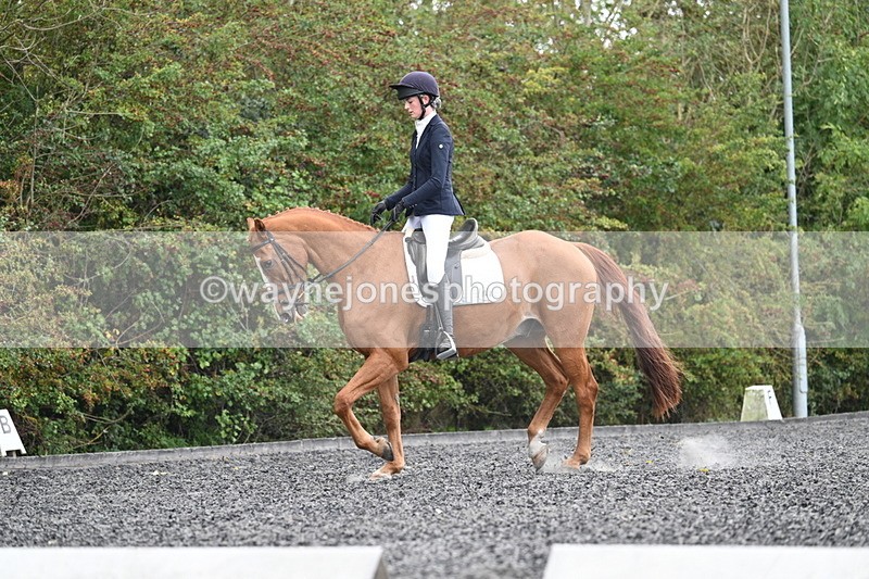 WJ7_6720 - Time 14:49 to 15:14