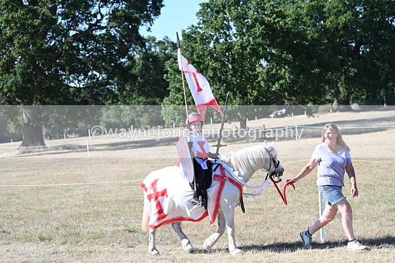 WJ7_2346 - Class 45 Fancy Dress (My Fav)