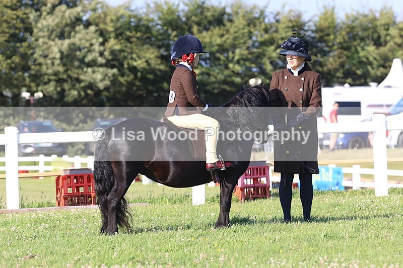 JPP_0693 - Class 16: Cornish Combination Leading Rein