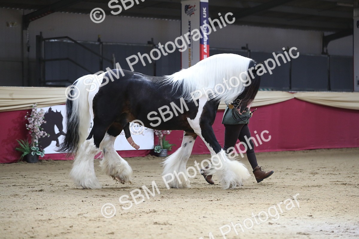 SBM_01327 - Class 3a Area IH Pre Vet
