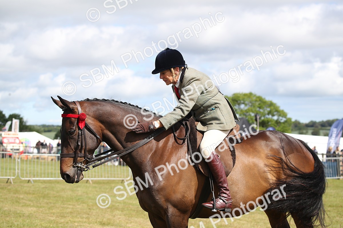 SBM_13329 - Class 95-96 - LIHS BSHA Rising Star Hack Riding Horse