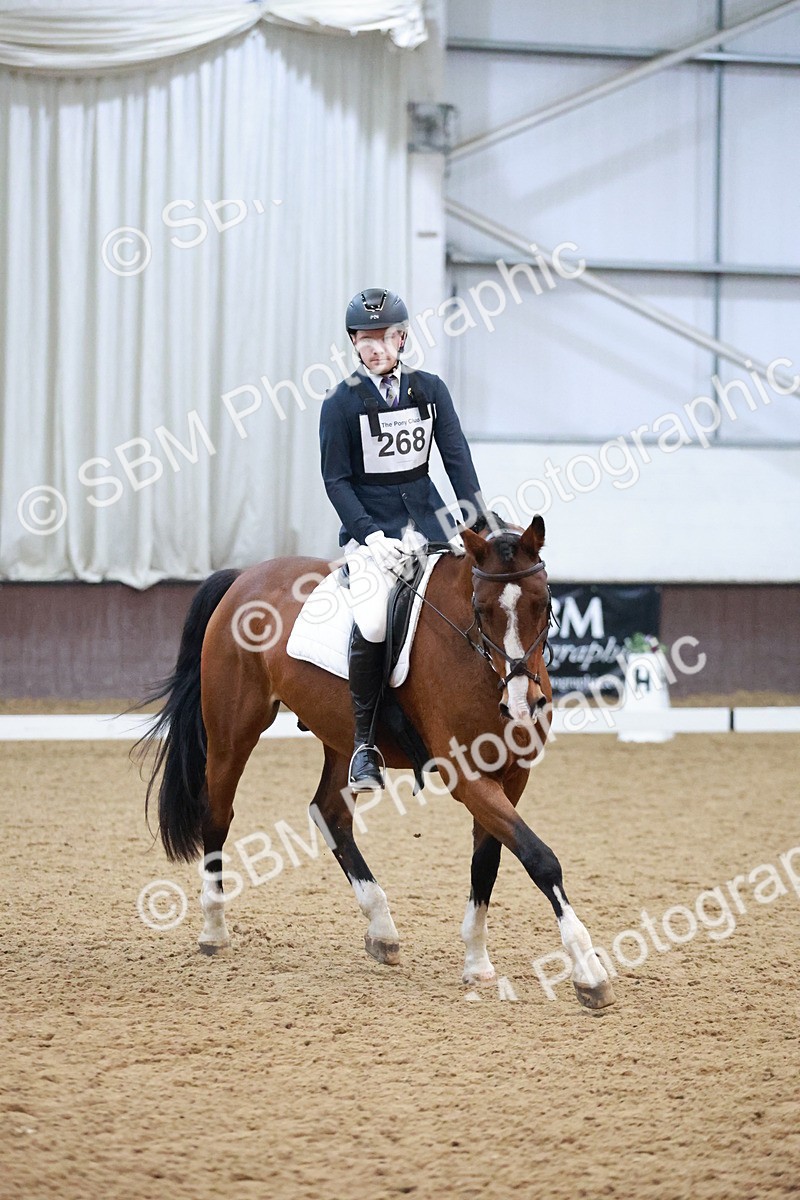 SBM_004674 - Ring 3 - International -  Working Hunter Classes 23-2-25