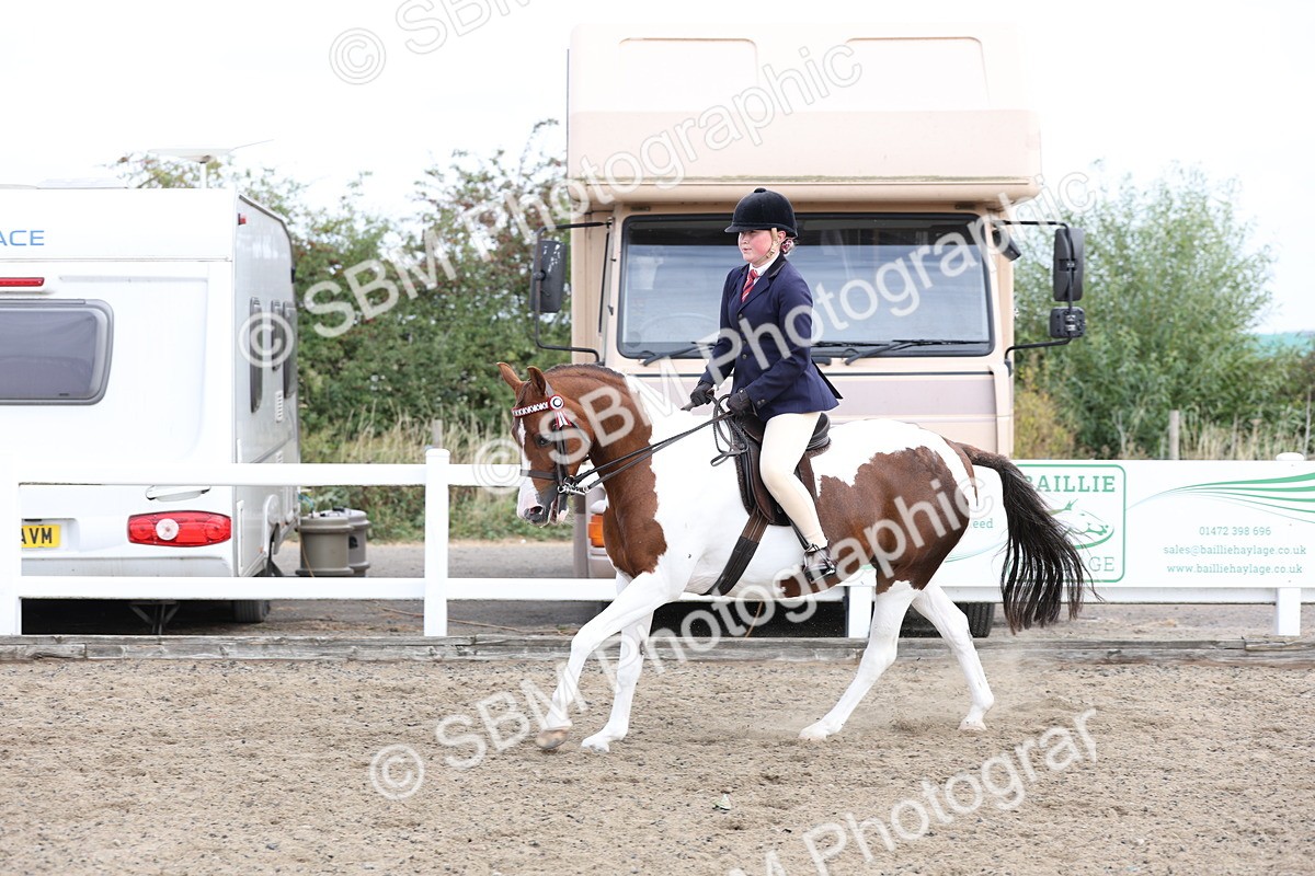 SBM_01503 - Class 52 - Ridden Veteran