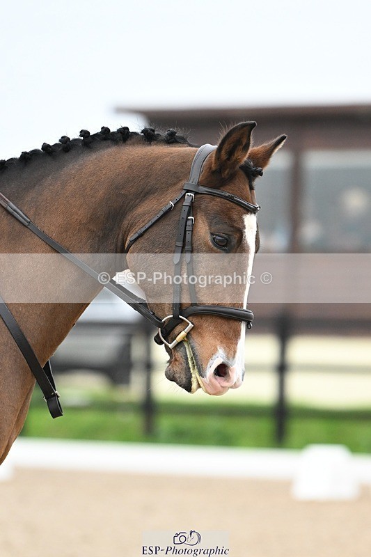 241103-094326-00199 - Intro 3 - 9.40 to 10.40