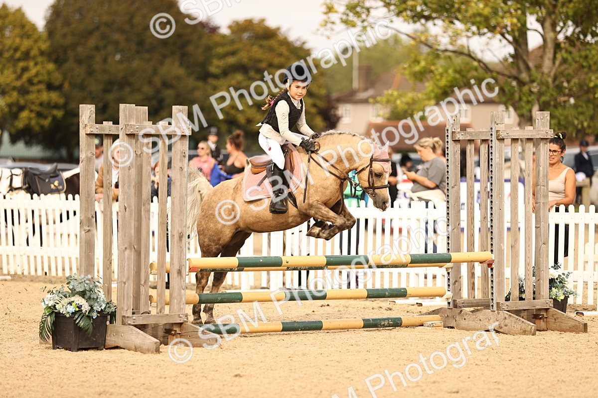 SBM_70832 - J13 - Junior Pony 60cm Championship