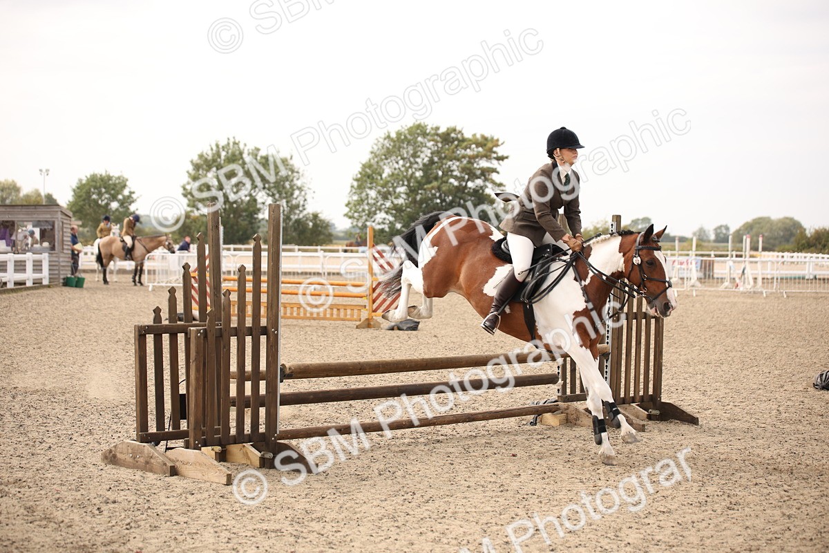 SBM_17130 - Class 409b - Working Veteran 80cm (20+)