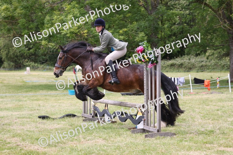 20260614-2931 - Class 22 - Open Working Hunter