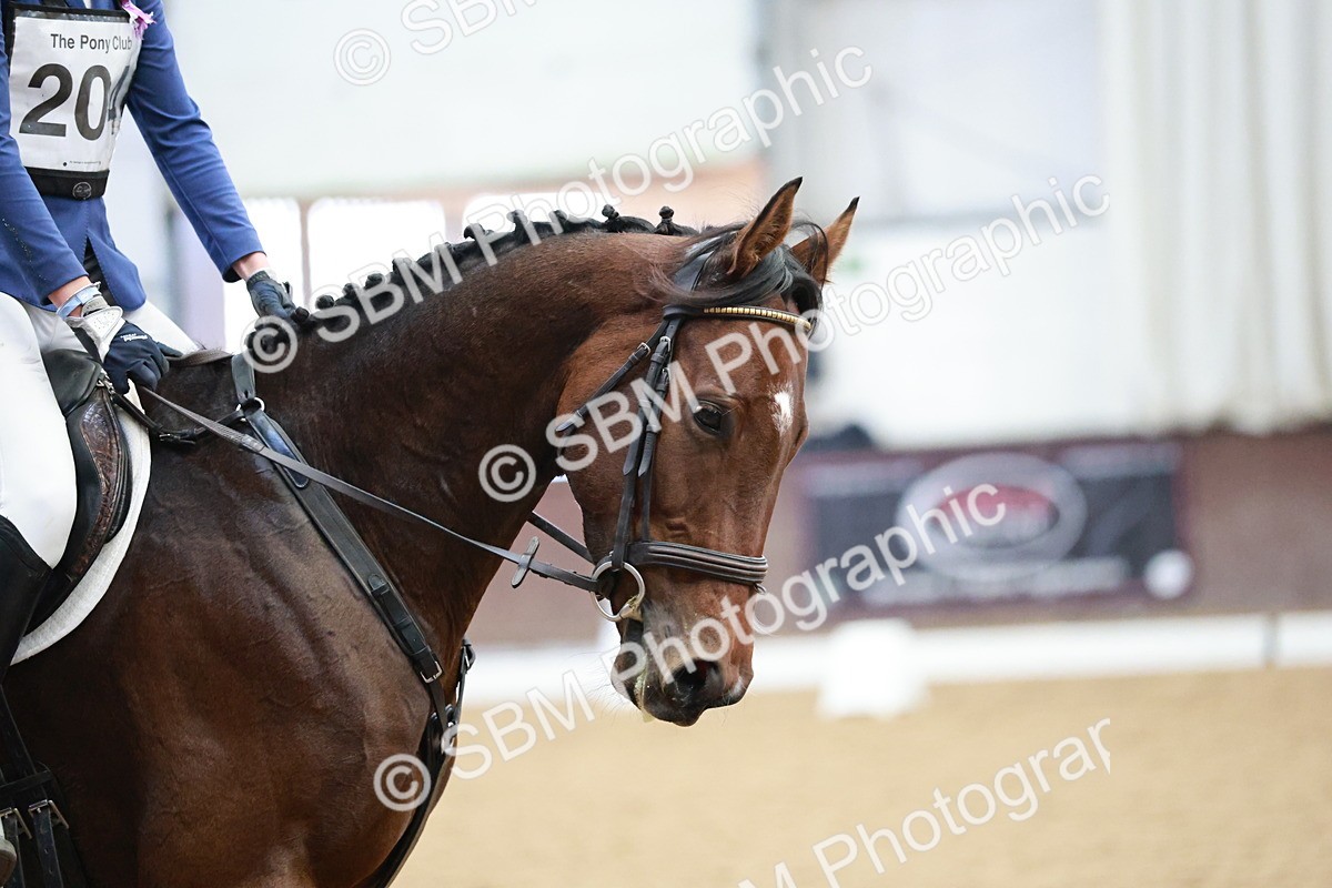 SBM_004304 - Class 2 - Novice 2020