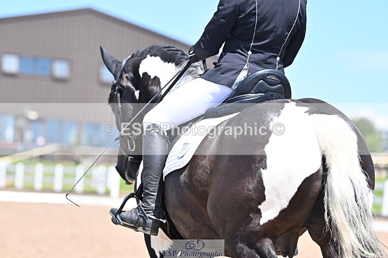 240621A-132410-03734 - Cls 8 BD Elementary 53