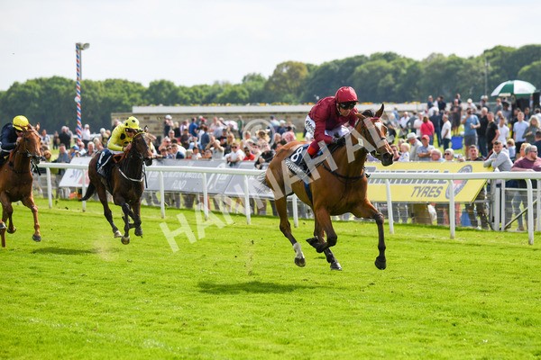 170523-Race 4-Soul Sister-0584 - Race 4 3.35pm Tattersalls Musidora Stakes
