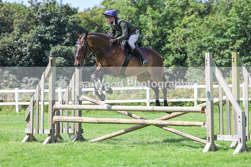 3E7A8907 - Class 6: Open Working Horse