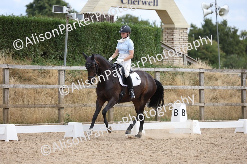20250730-1086 - Class 5 - Novice 2