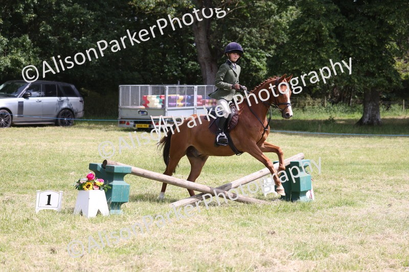 20260614-1847 - Class 21 - Novice Working Hunter Pony