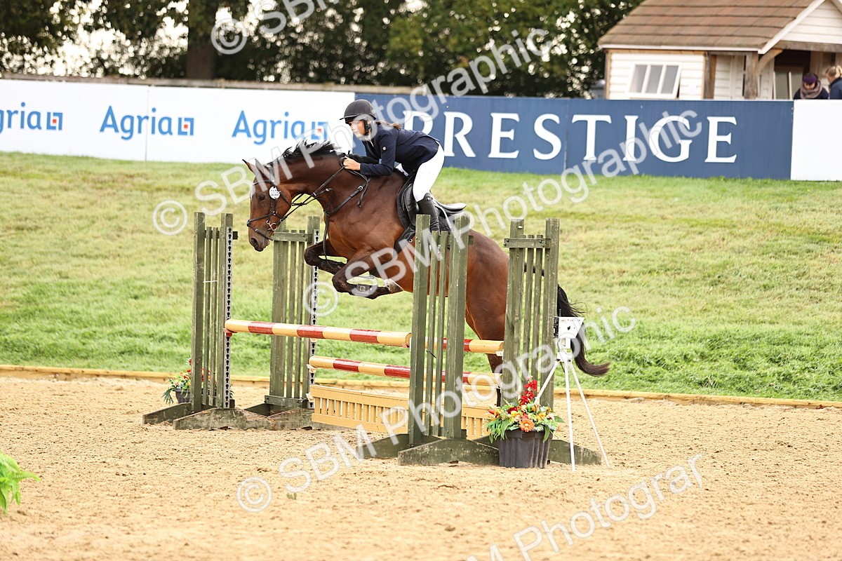 SBM_58361 - J41 - Grand Tour Horse & Pony 95cm