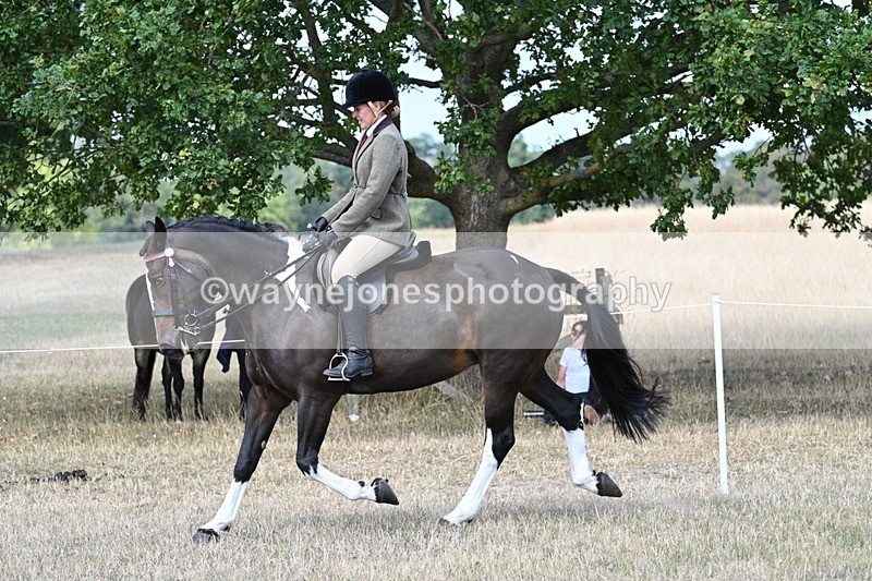 WJ7_6092 - Class 13 Ridden Veterans