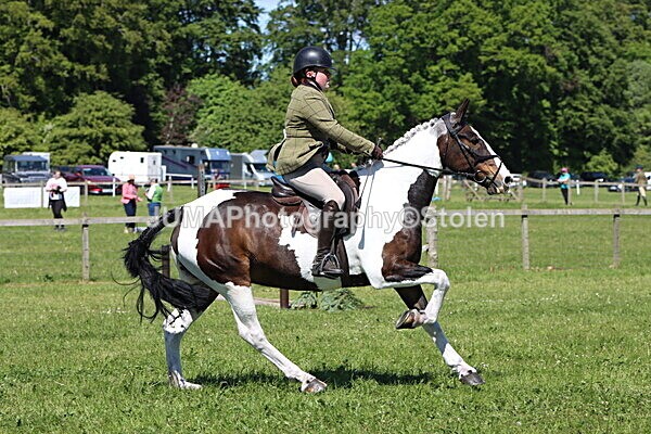 IMG_4110 - Working Hunter