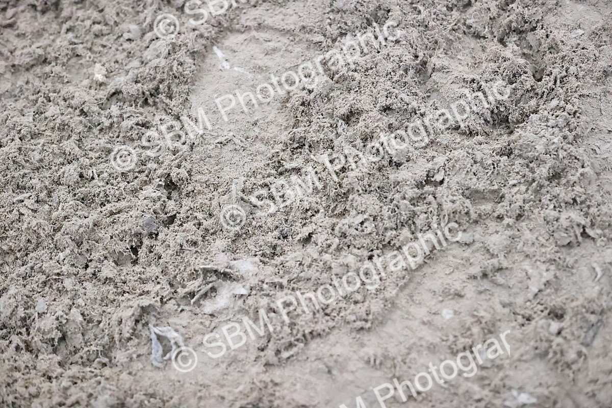 SBM_005269 - Class 18 - National 1.30m 1..40m