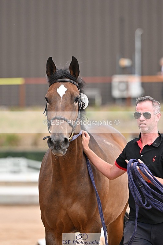 250716-151722-01847 - Trot Up 2.30 to 3.30