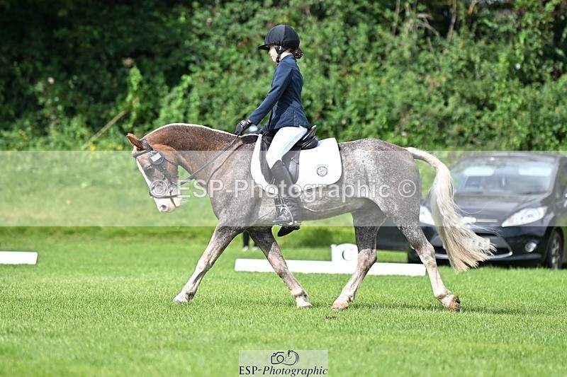 230826-110836-16860 - Sections A & B 10 to End