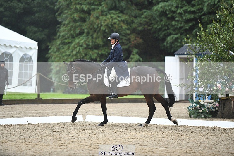 240720-142844-05656 - 237-Sue_Lanz-Wellshead_Foxtrot