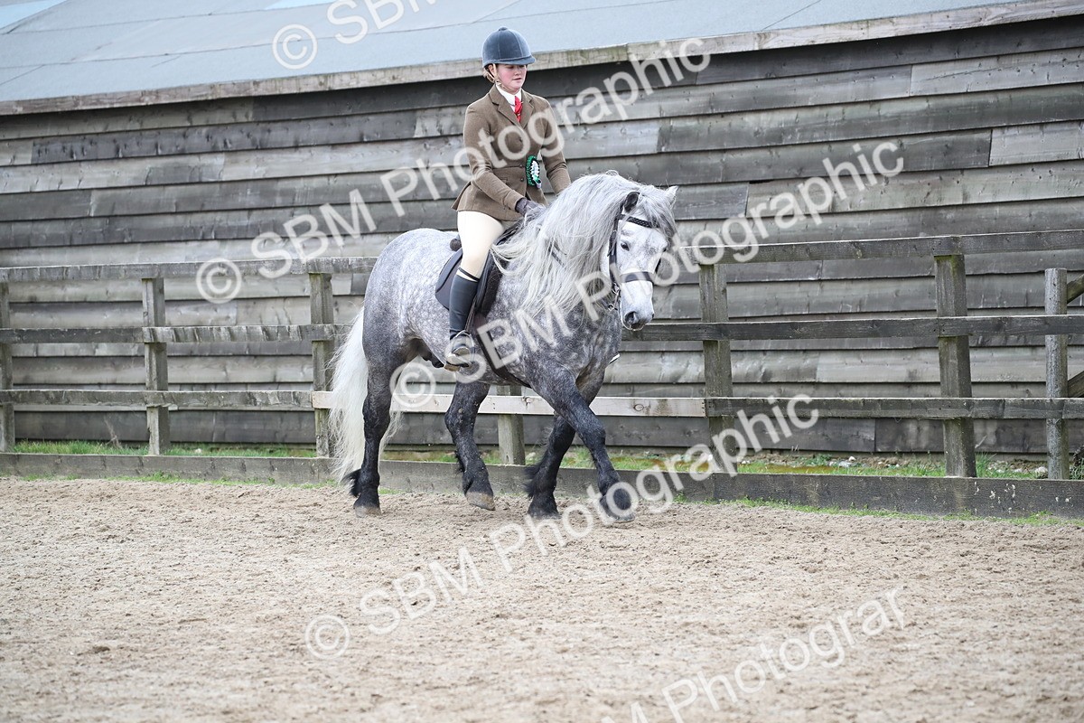 SBM_006468 - Class 10-13 - RIHS Small Large Breeds